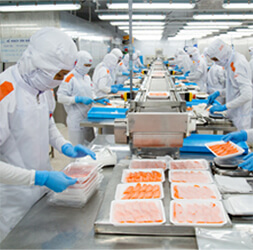 Food Processing