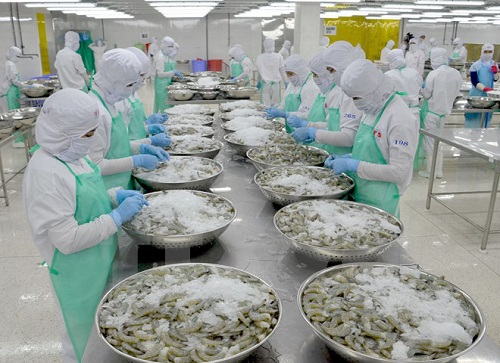 Vietnam shrimp exports up 15% past $1.5bn
